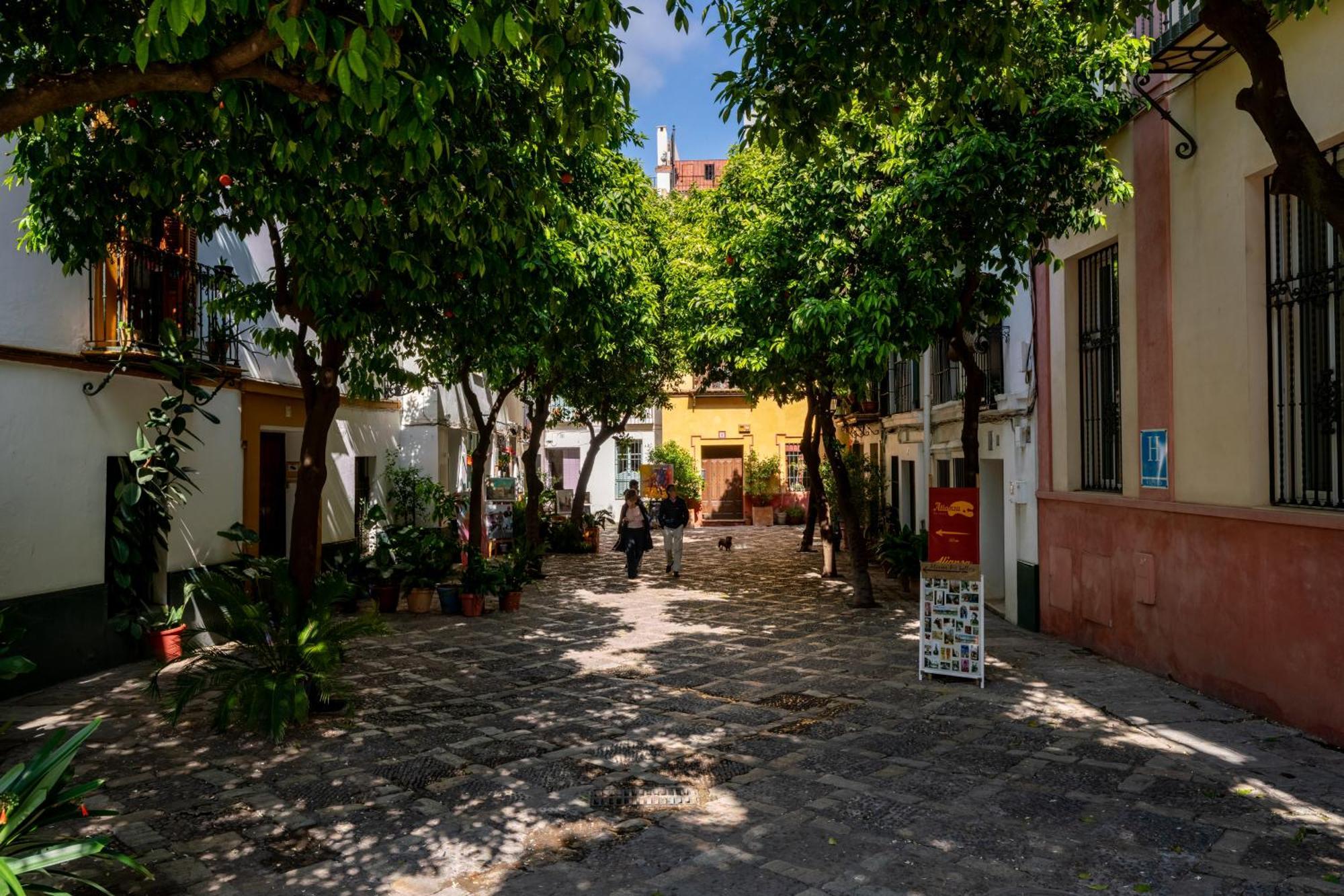 Casa Guadalupe Hébergement de vacances Séville